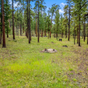 16 N1062 Greer, AZ