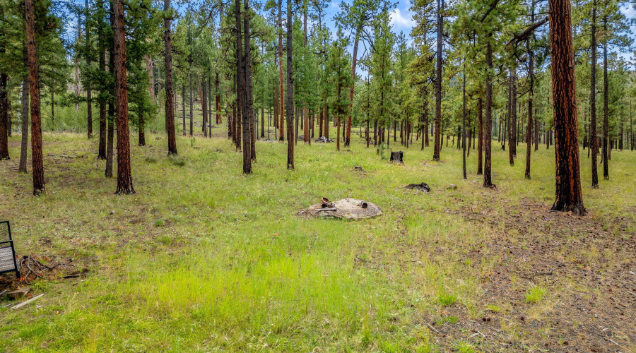 16 N1062 Greer, AZ
