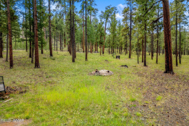 16 N1062, Greer, Arizona 85927, ,Land,For Sale,N1062,260367