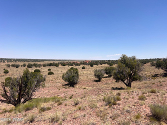 104 N9328, Concho, Arizona 85924, ,Land,For Sale,N9328,260365