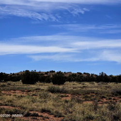 5438 County Line Road, Snowflake, Arizona 85937, ,Land,For Sale,County Line,260366