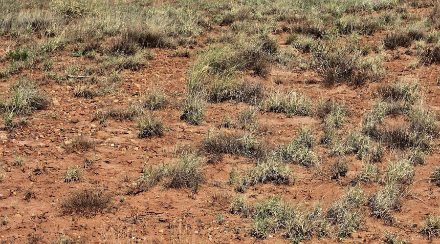 Open Spaces
