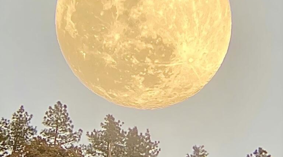 cabin - moon
