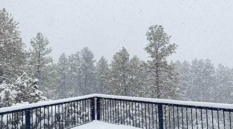 cabin - snow 2