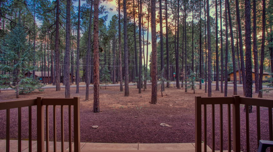 Front Porch View