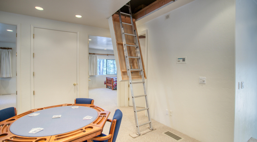 Electronic Attic Access 1 of 2