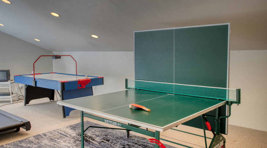 Ping Pong Solo or Multiple