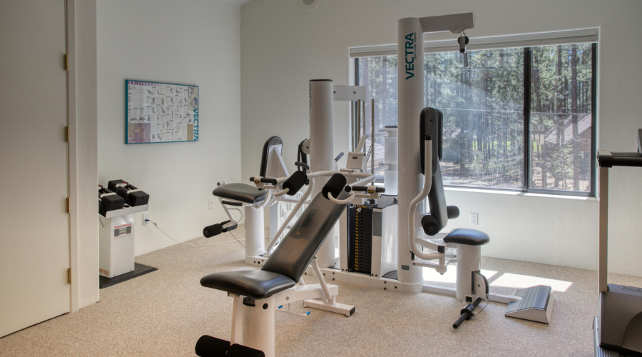 Complete Gym w/Dumbell Set