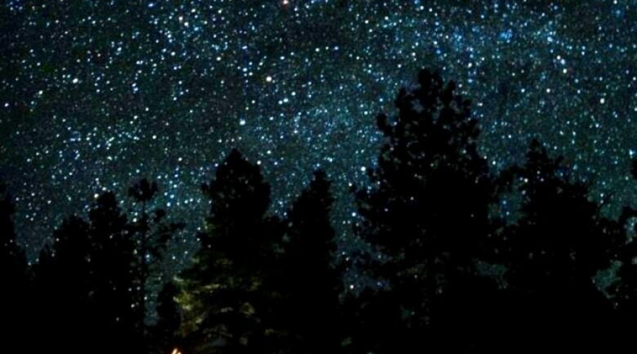 Star Photo