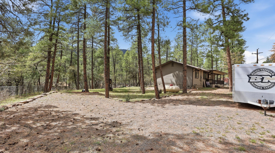 mls-Pine_Rd_017