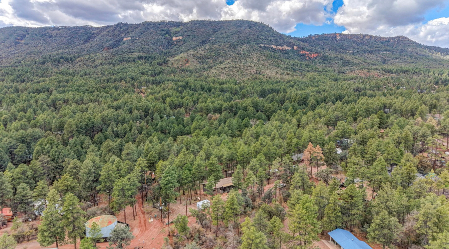 mls-DJI_20260401150636_0907_D_8_D_9_D co