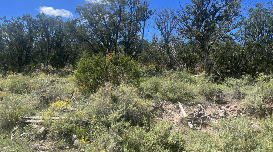 Central Ave, Eagar