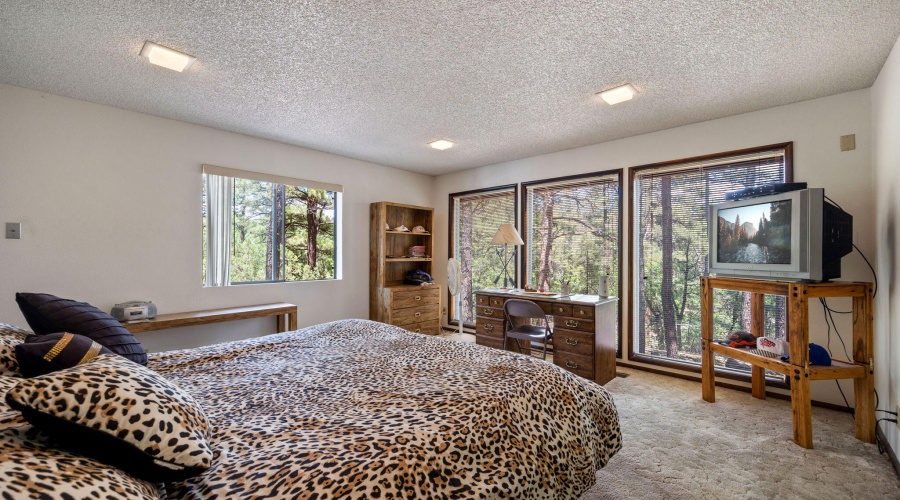 328WBillyCreekDr-PinetopLakeside-AZ-17