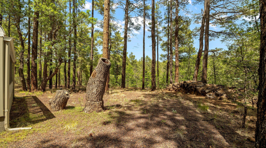 328WBillyCreekDr-PinetopLakeside-AZ-37