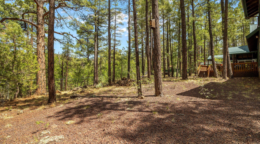 328WBillyCreekDr-PinetopLakeside-AZ-38