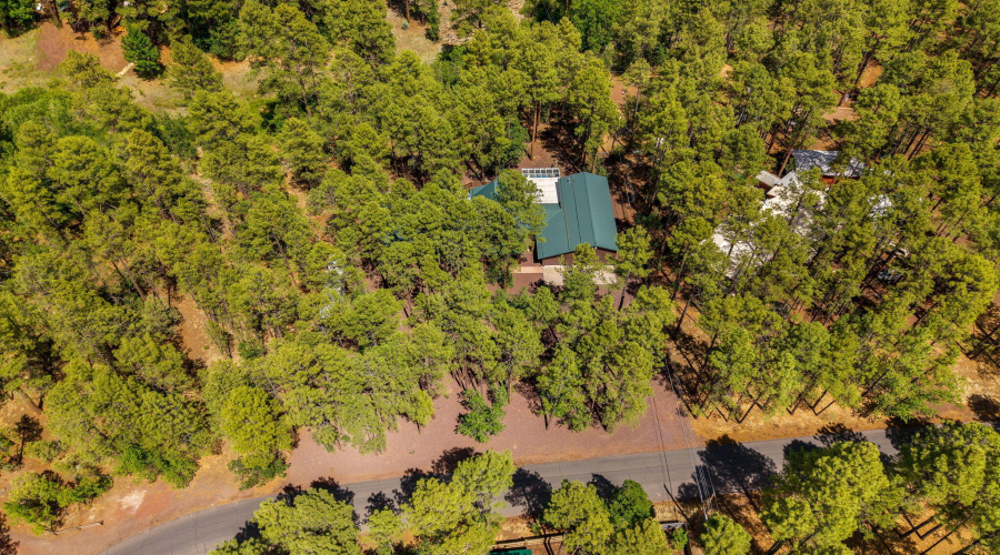 328WBillyCreekDr-PinetopLakeside-AZ-42