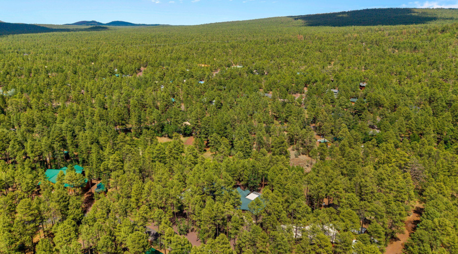 328WBillyCreekDr-PinetopLakeside-AZ-43