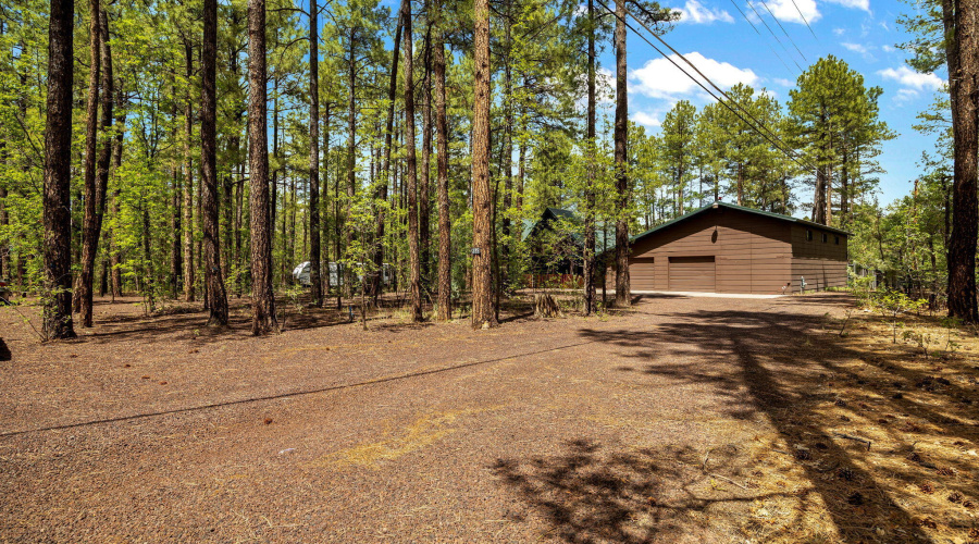 328WBillyCreekDr-PinetopLakeside-AZ-4