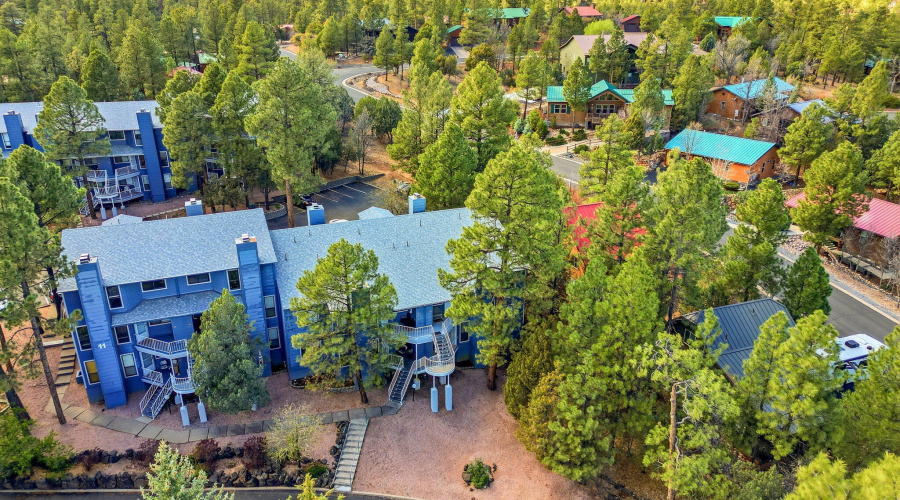 2700SWhiteMountainRdUnit1125-ShowLow-AZ-