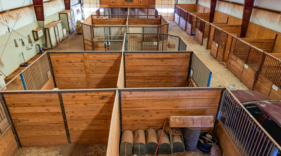Stable
