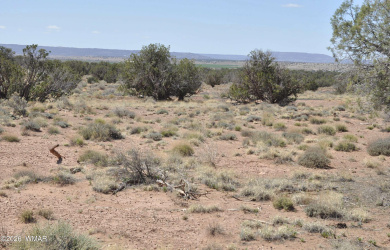 29A CR N9080, Concho, Arizona 85924, ,Land,For Sale,CR N9080,260415