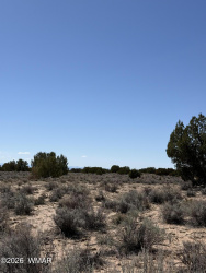 0 TBD 205-70-002, Chambers, Arizona 86502, ,Land,For Sale,TBD 205-70-002,260413