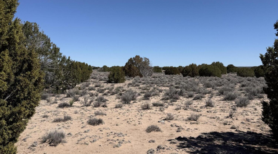 High Desert