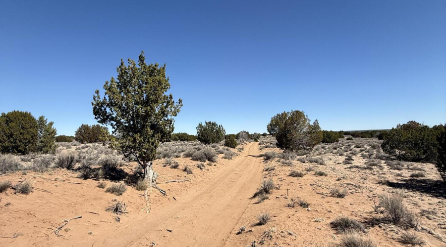 Road