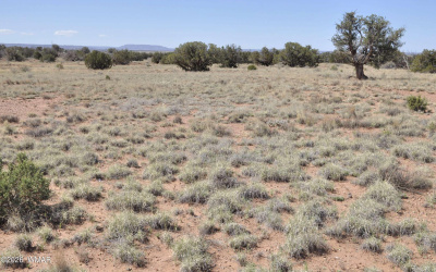 29B N9005, Concho, Arizona 85924, ,Land,For Sale,N9005,260412