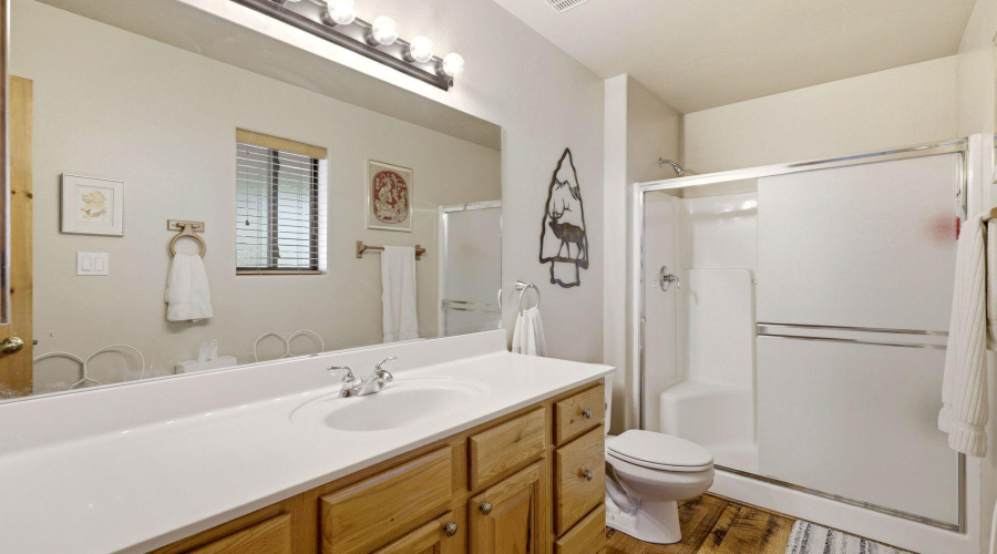 2671PalominoTrail-Overgaard-AZ-15
