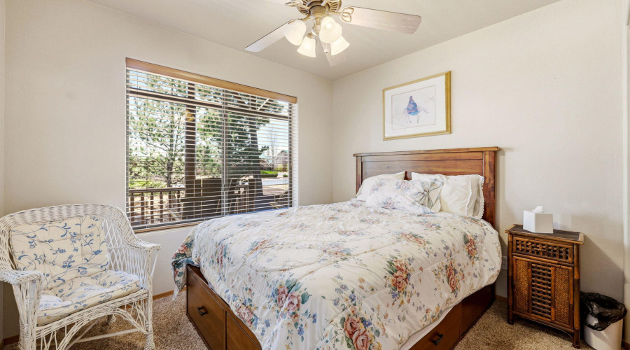 2671PalominoTrail-Overgaard-AZ-17
