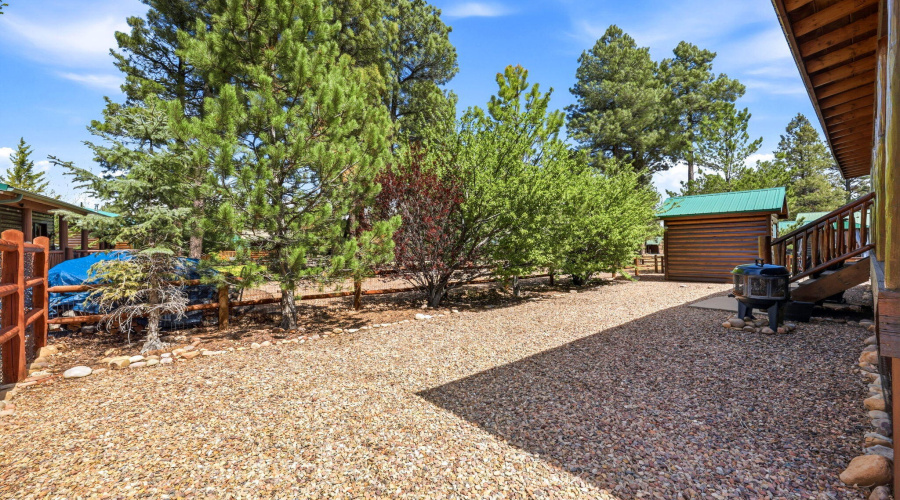 2671PalominoTrail-Overgaard-AZ-21