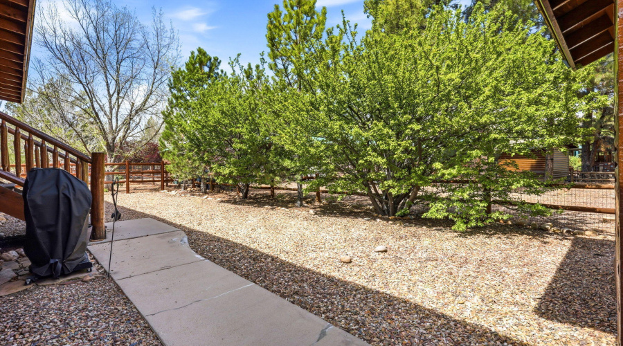 2671PalominoTrail-Overgaard-AZ-24