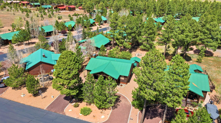 2671PalominoTrail-Overgaard-AZ-26