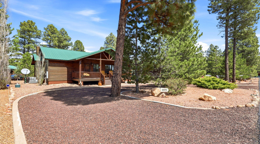 2671PalominoTrail-Overgaard-AZ-4