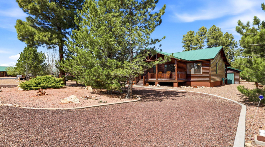 2671PalominoTrail-Overgaard-AZ-3