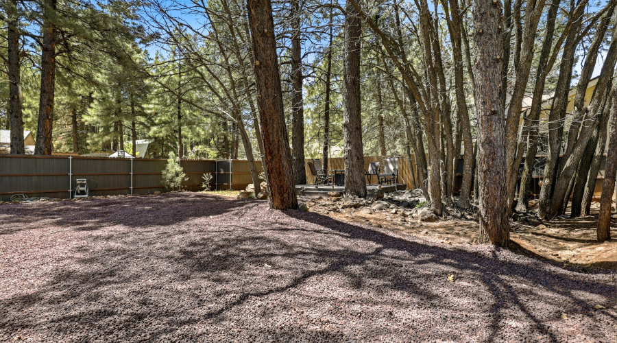 4971BuckSpringsRd-Pinetop-AZ-21