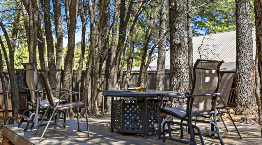4971BuckSpringsRd-Pinetop-AZ-24