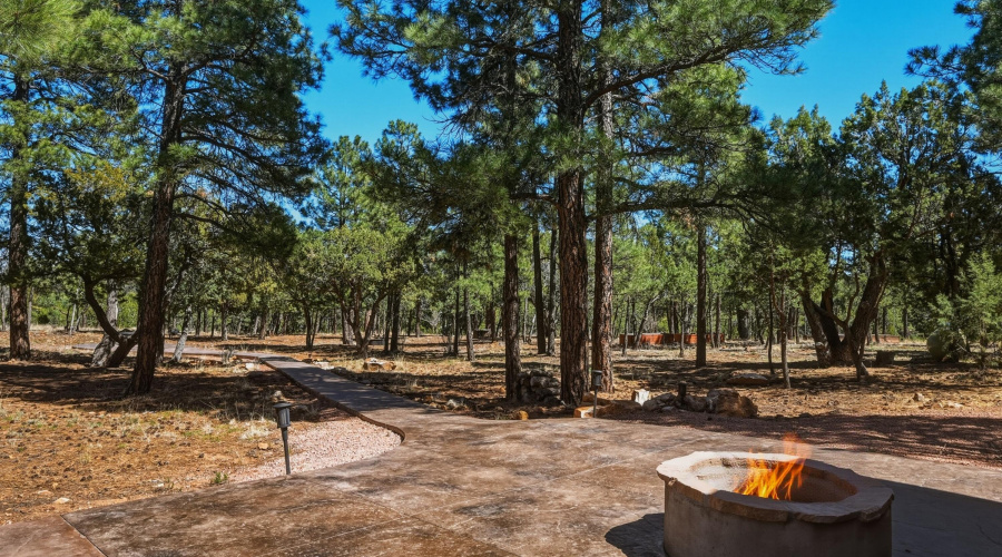 43 Firepit area