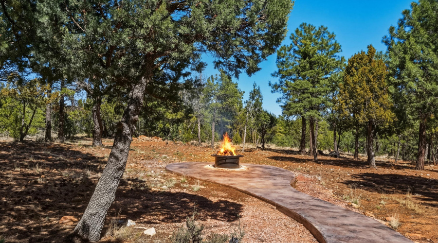 45 Path to 2nd firepit