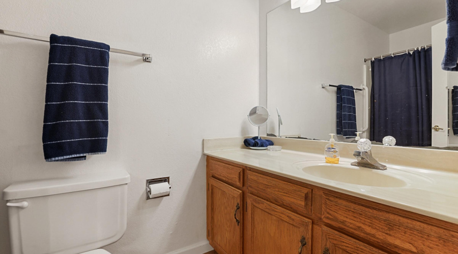 Guest Bathroom 1