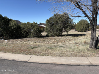 500 Ridge Drive, Show Low, Arizona 85901, ,Land,For Sale,Ridge,260449