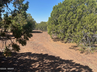 Lot 2 Stanford Drive, Vernon, Arizona 85940, ,Land,For Sale,Stanford,257540