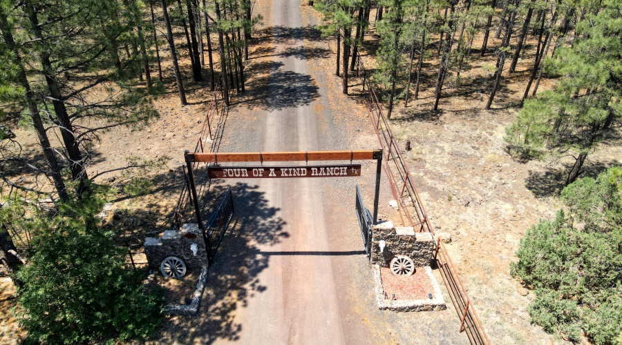 Paxmanphoto_DJI_0156