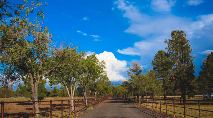 Road In