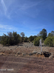 6 Co Road, Vernon, Arizona 85940, ,Land,For Sale,Co,259763