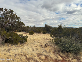 14 Co, Vernon, Arizona 85940, ,Land,For Sale,Co,260444