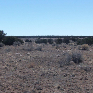 Vacant land for sale in Holbrook AZ