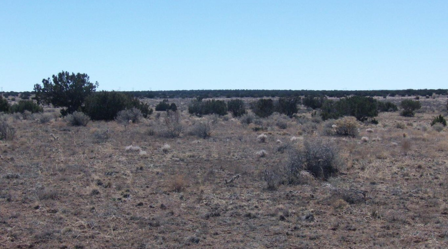 Vacant land for sale in Holbrook AZ