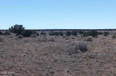 TBD #10 Parcel 106-18-010, Sun Valley, Arizona 86029, ,Land,For Sale,#10 Parcel 106-18-010,260446